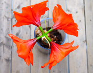 骚扰短信呼叫软件